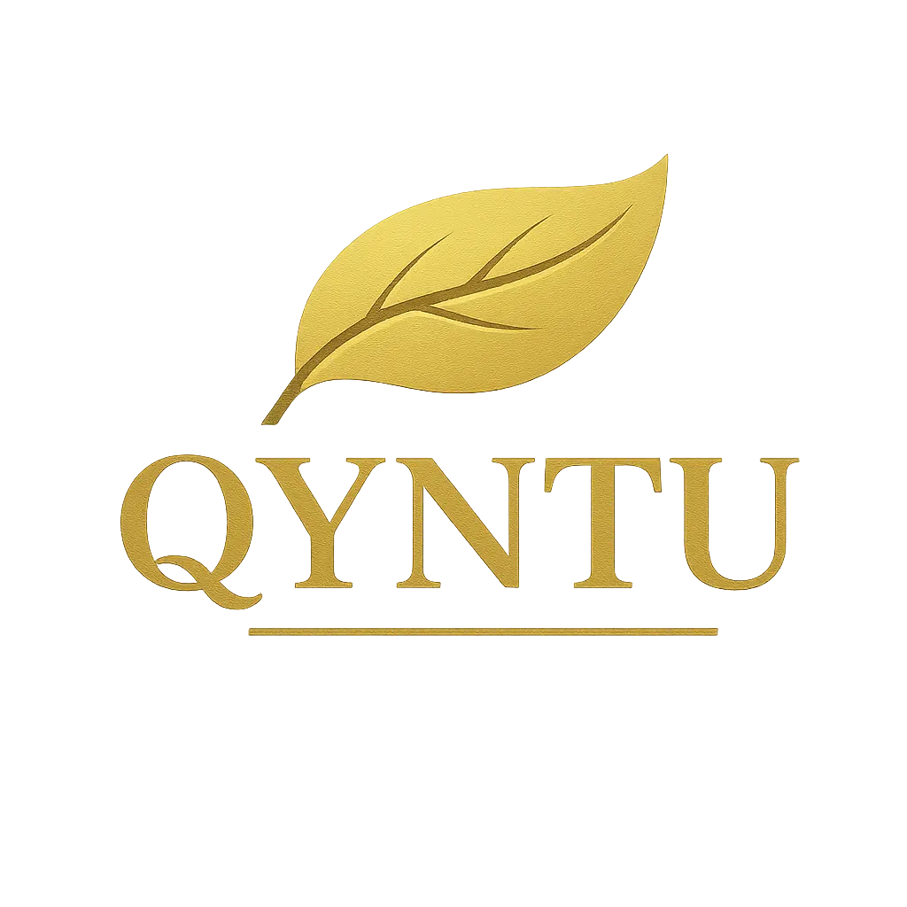 Qyntu